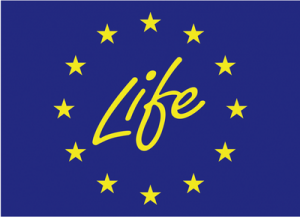 LIFE logo