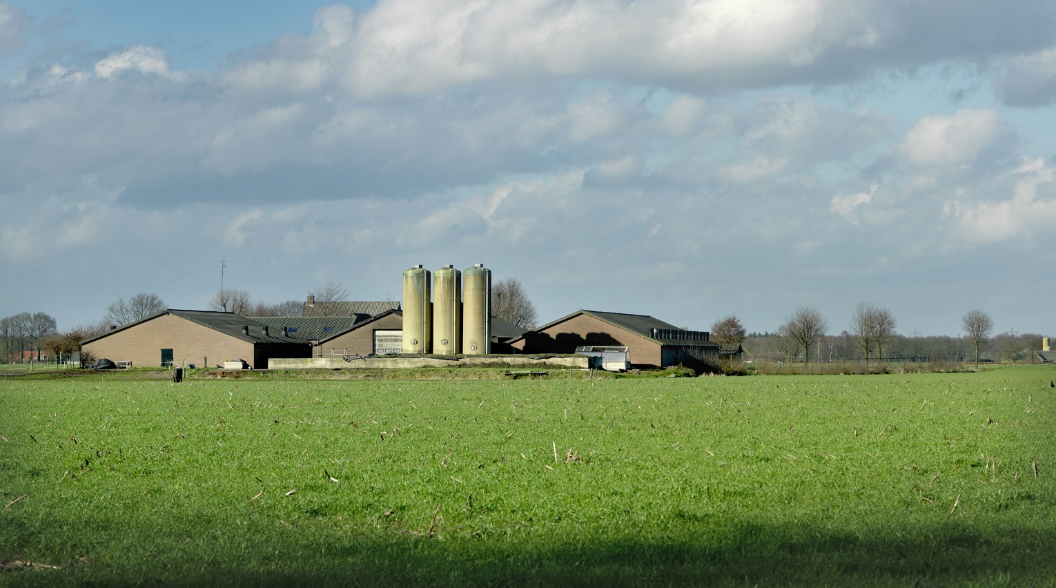 afbeelding van boerderij