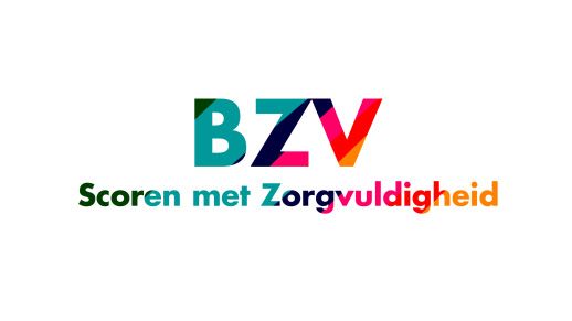 Consultatieversie BZV