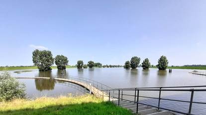 Foto hoog water Maas