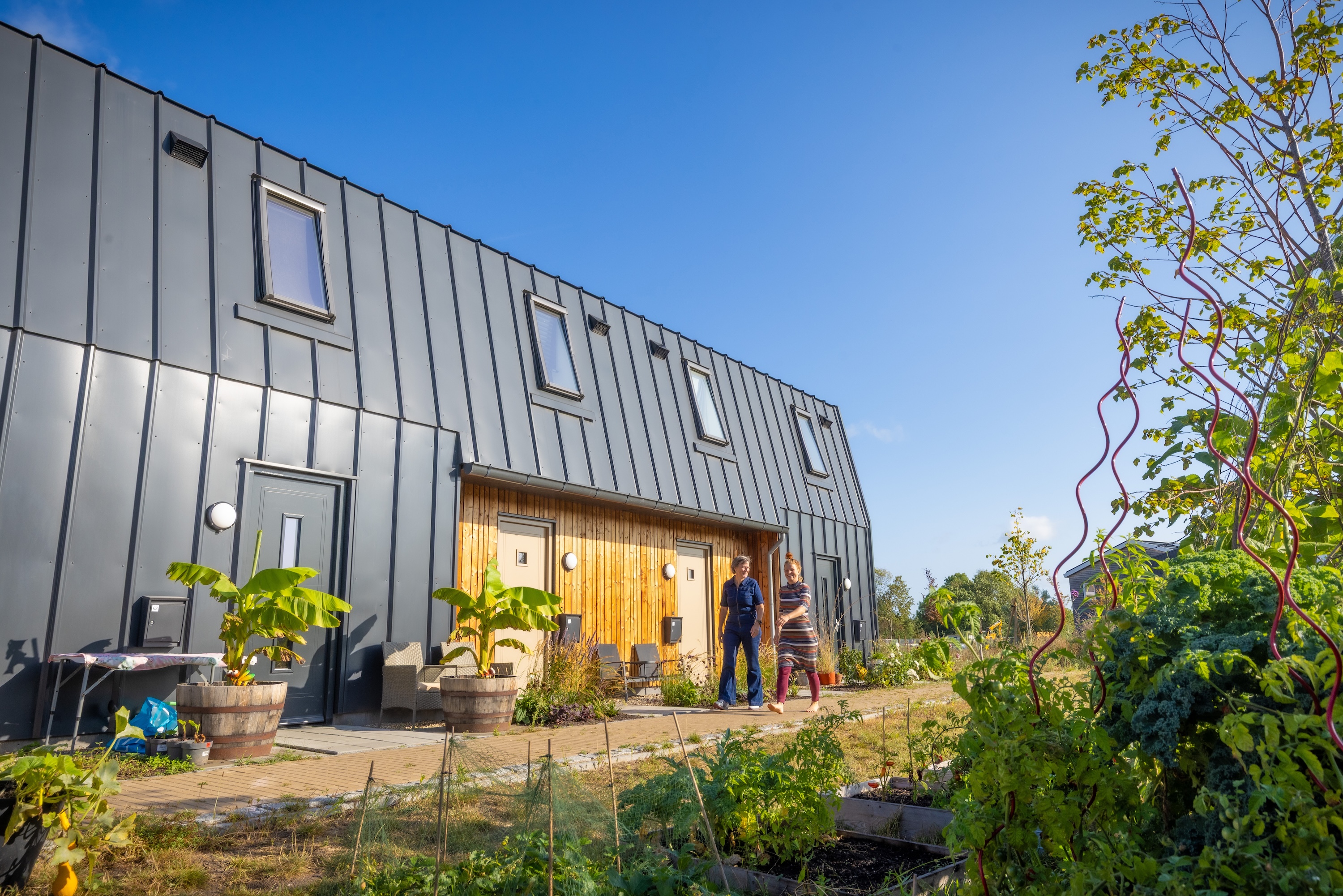 STEK in de Groote Wielen